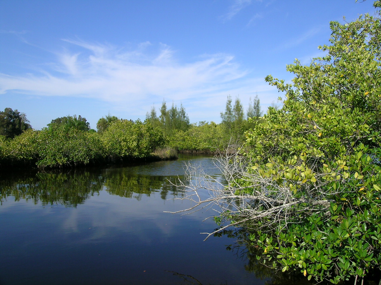 CurryCreekPreserve