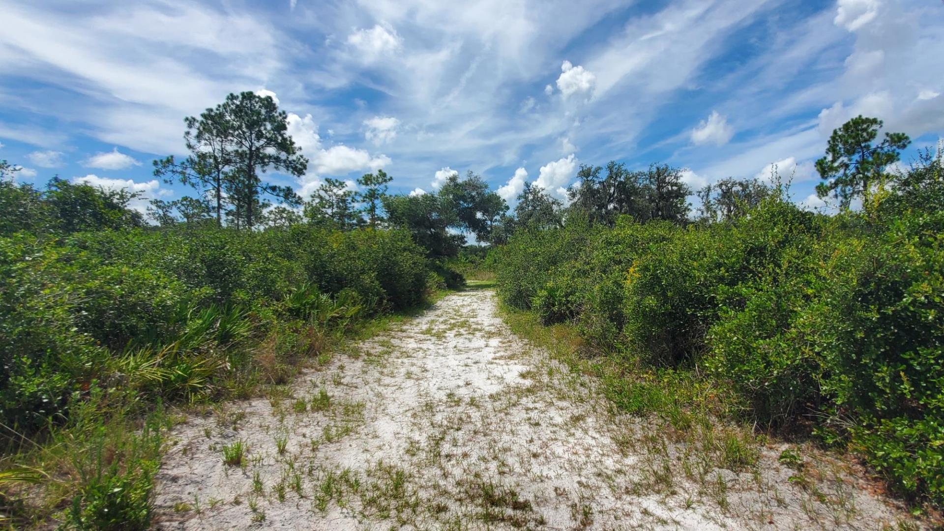 OM trail with cirrus clouds