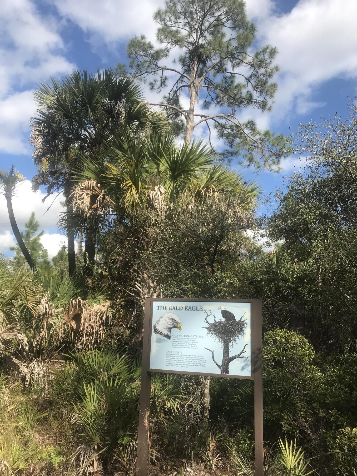 Pinelands Reserve Eagle Sign