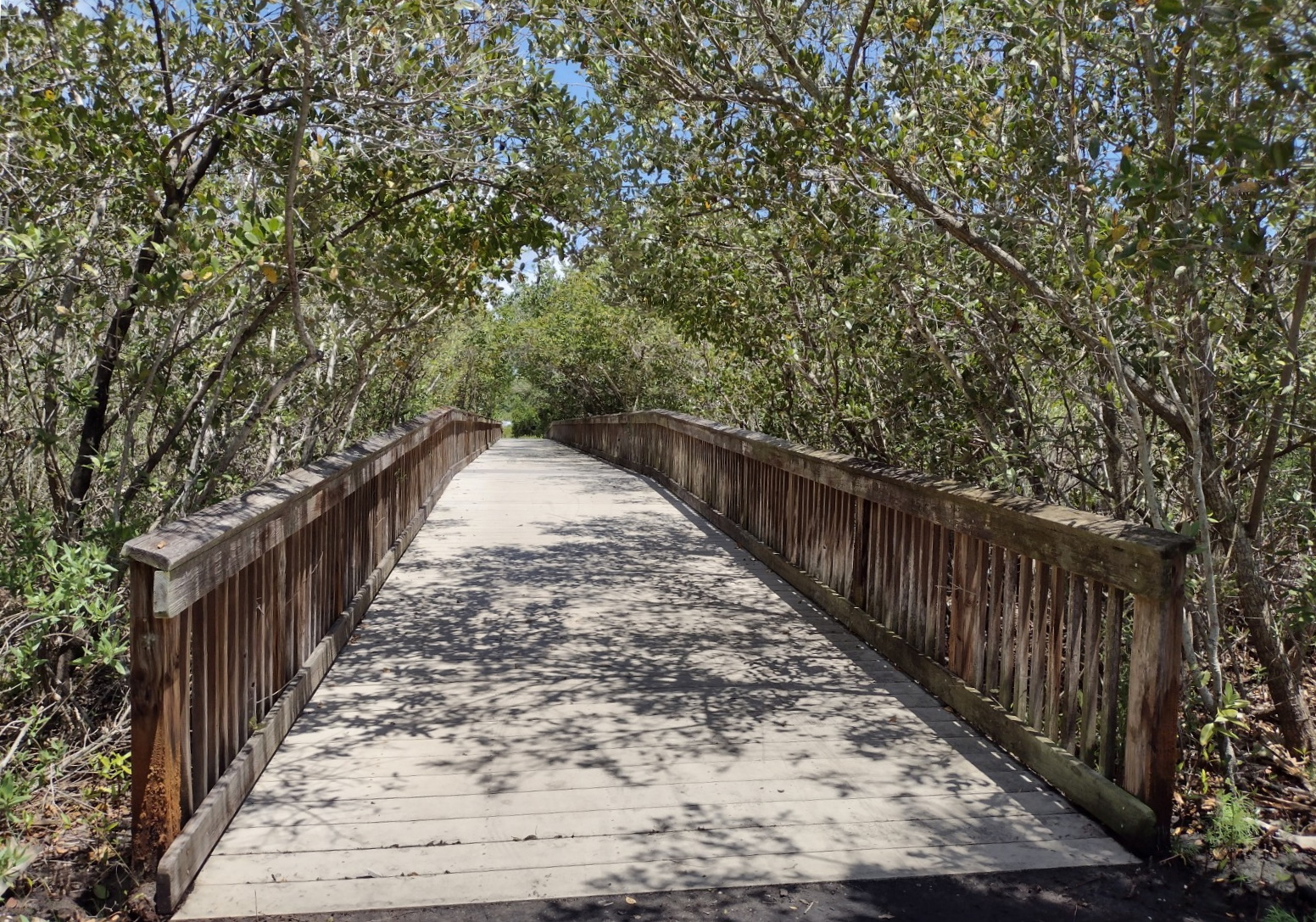 SVLBP pedestrian bridge