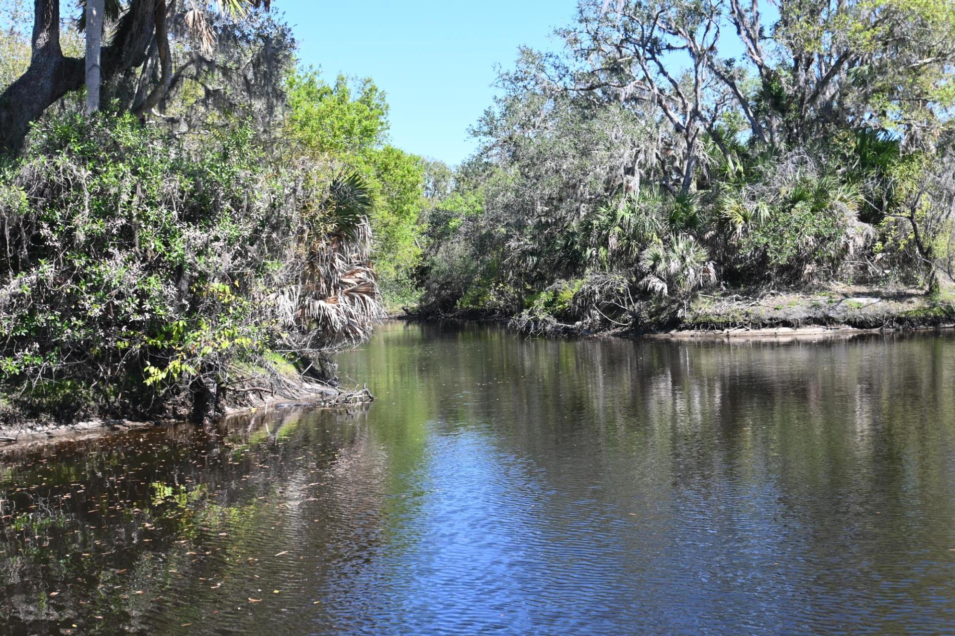 venice myakka river photo