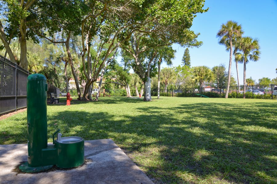 Bay Street Dog Park