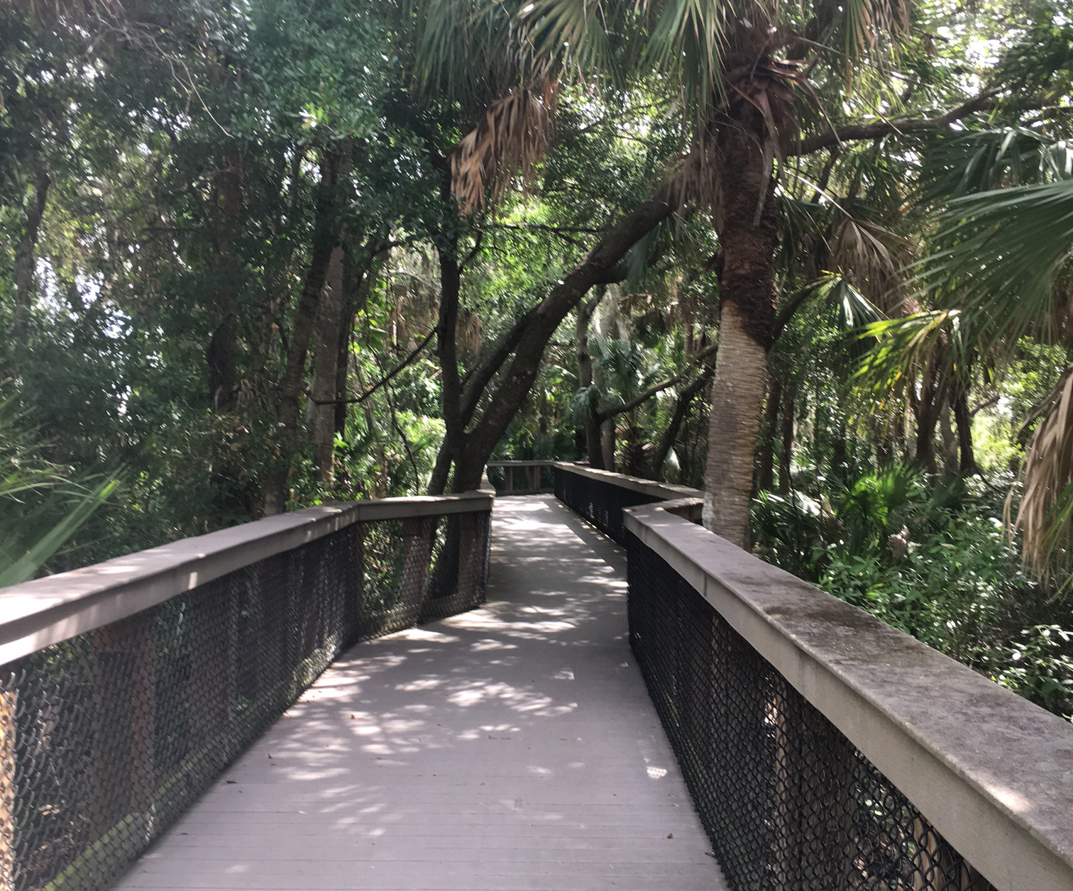 Alligator Creek Boardwalk 2 horiz