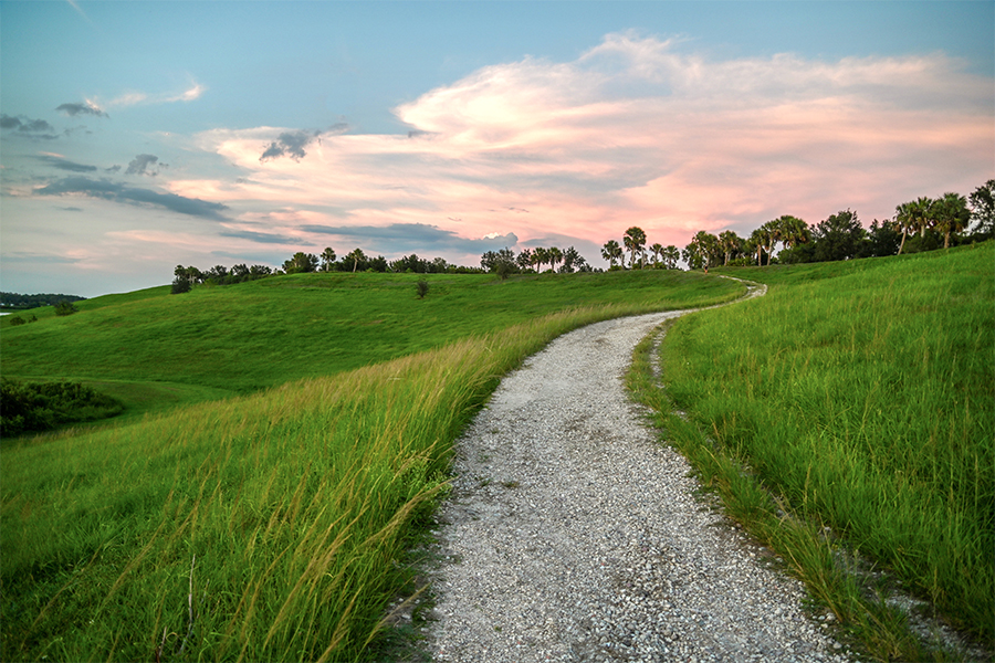 Celery Fields Regional Stormwater Facility