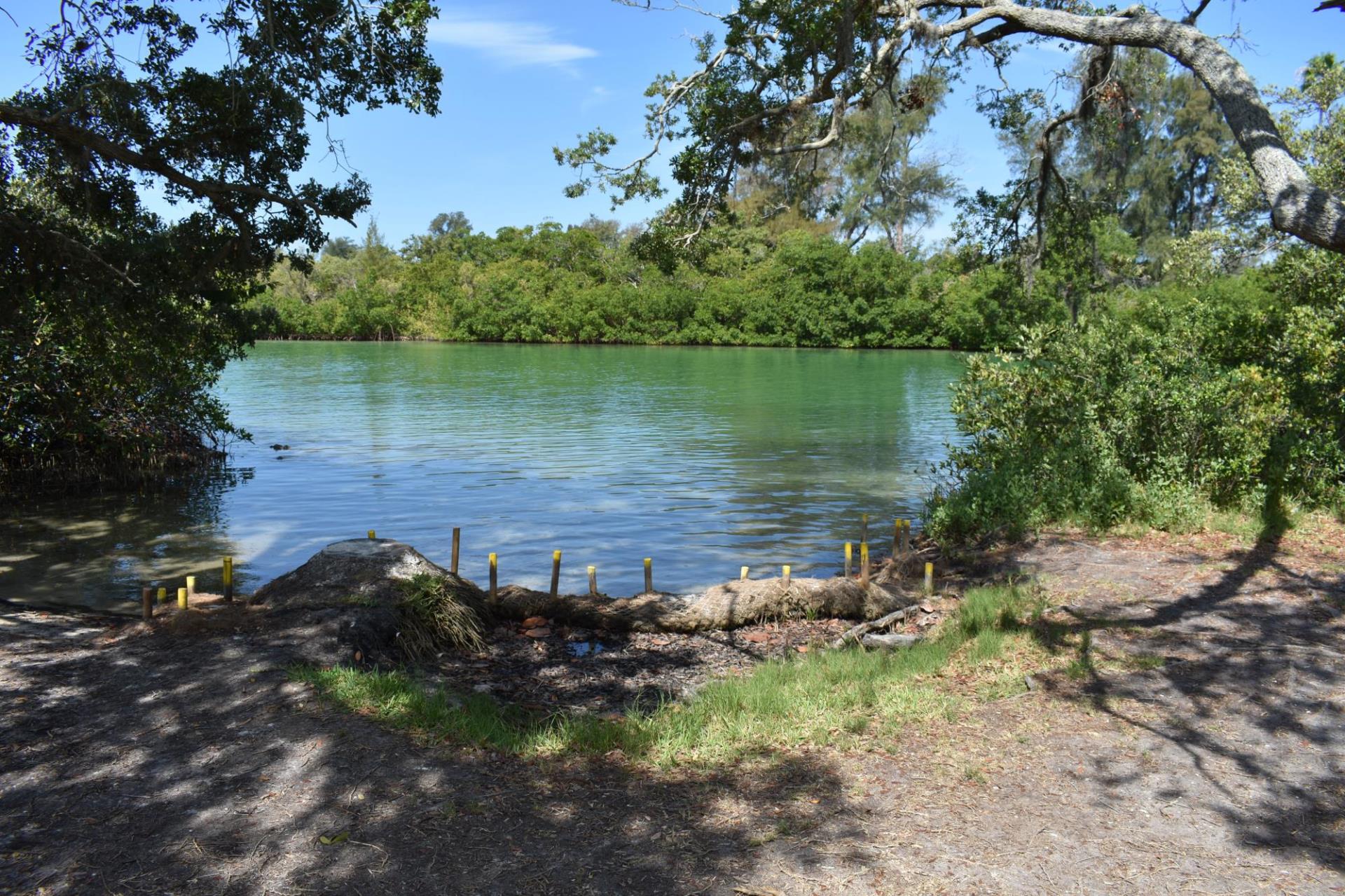 Lyons Bay Park