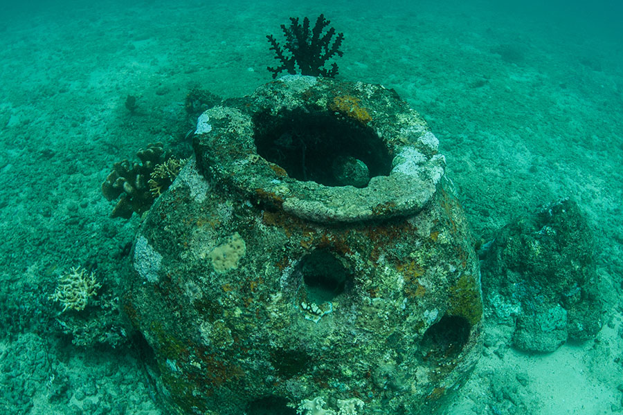 Image of An Artificial Reef Ball Underwater