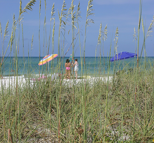 Girls and Seagrass