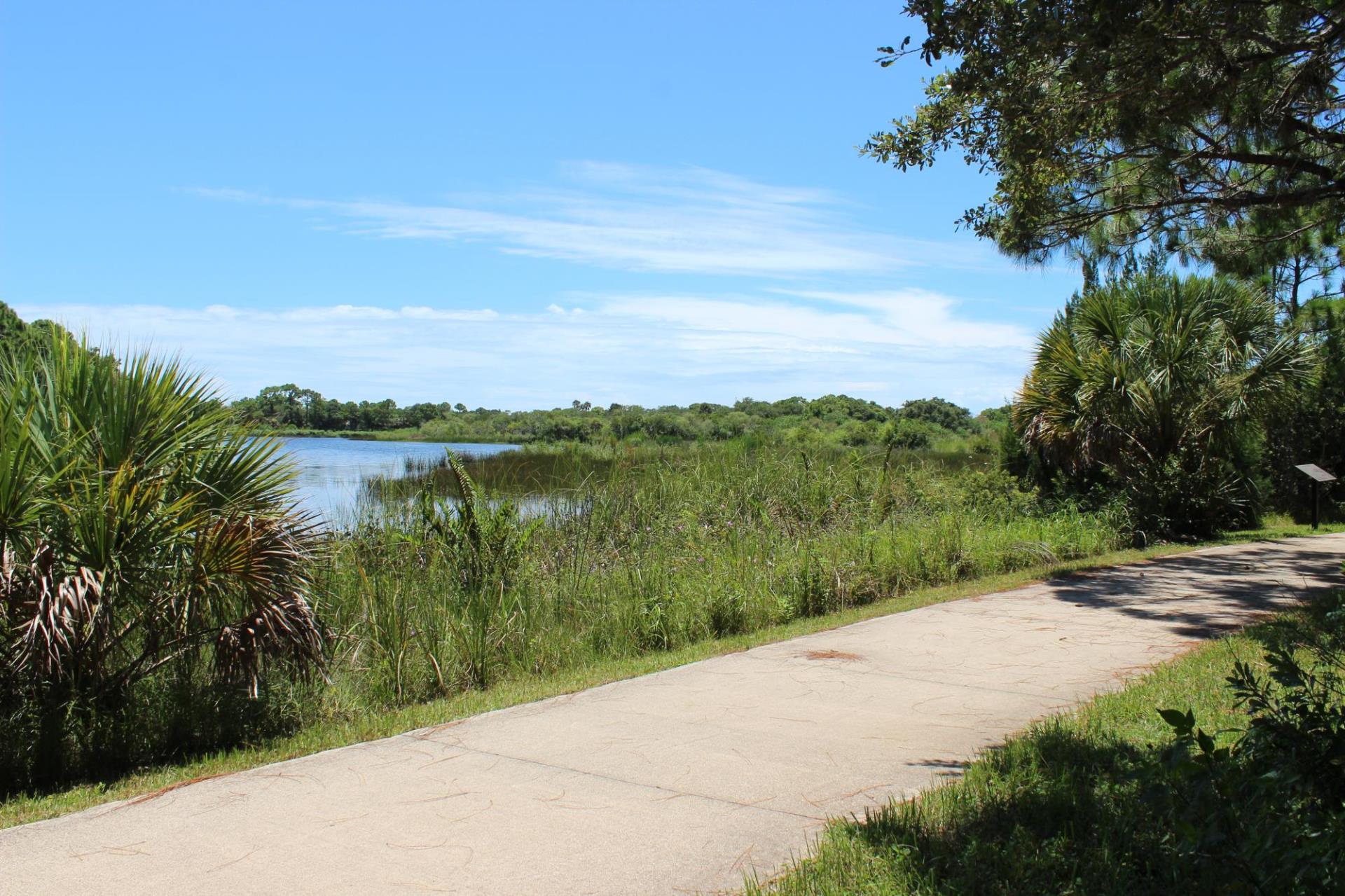 Stoneybrook Path and Pond