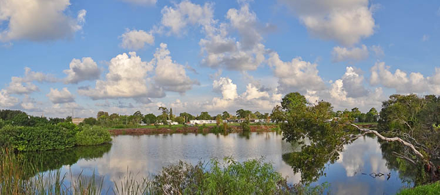 Venice Rookery