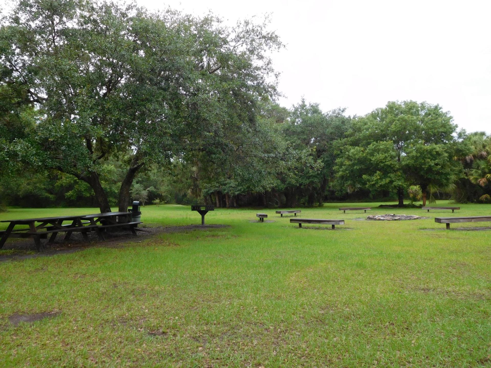 Myakkahatchee Creek Environmental Park-Campsite